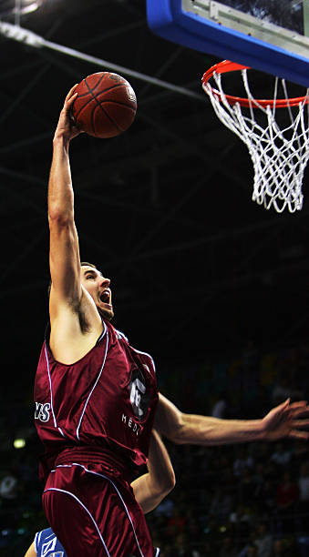 塞佩达不仅 塞佩达不仅